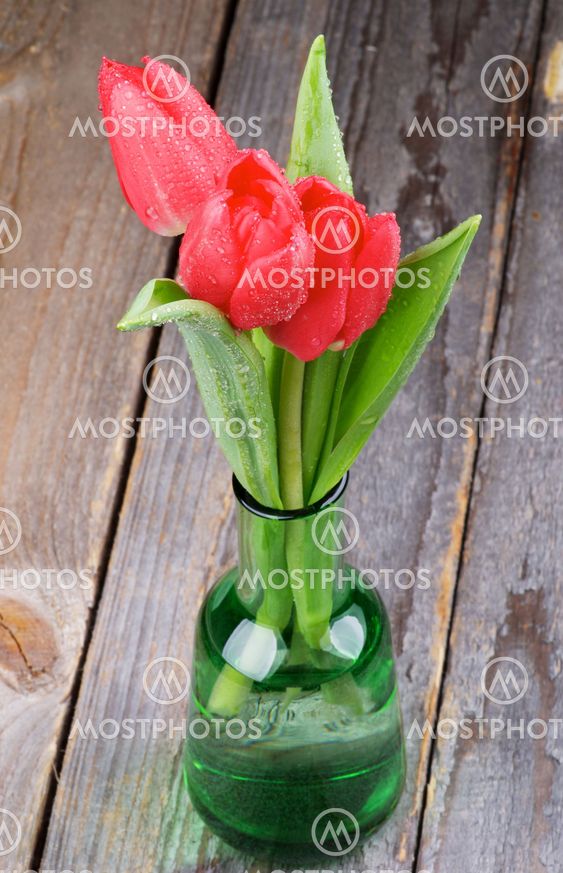 Red Tulips