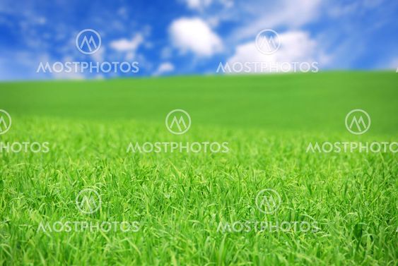 Green field