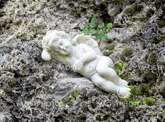 sleeping angel