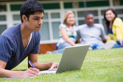 Young man using laptop on campus lawn, with other...