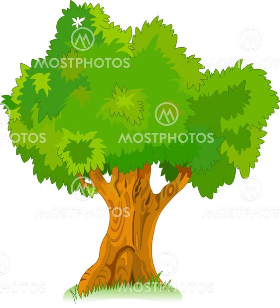 Great old tree for your design