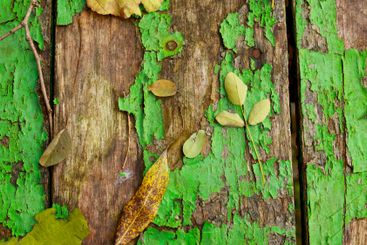 Autumn yellow fallen leaves and twigs on old wooden...