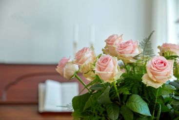 Flowers, roses and vase of decoration at house as...
