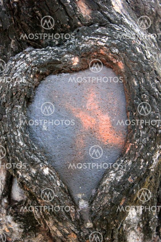 Hollow tree, a heart shape.