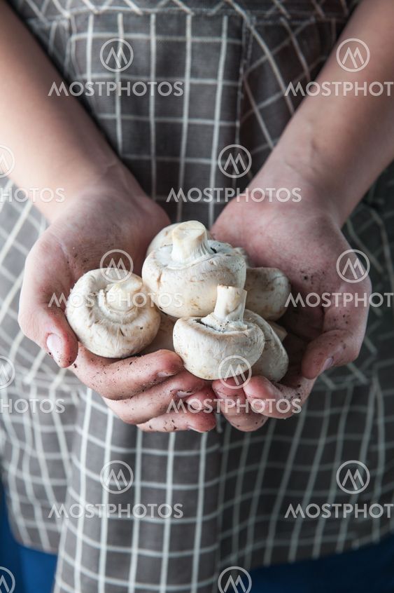champignons in hands