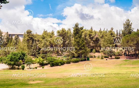 Park Landscape