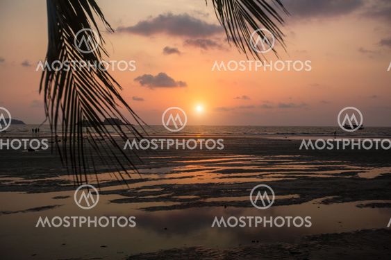Sea beach through palm leaves during amazing Sunset.