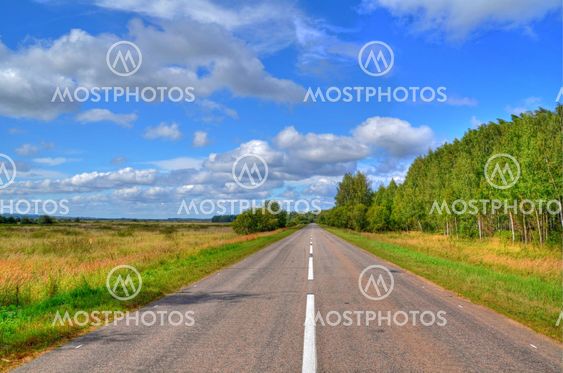 Road along wood