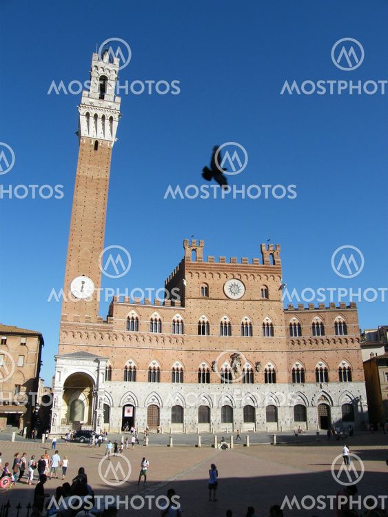 Piazza del Campo, Siena