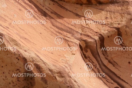 Nature's Wallpaper