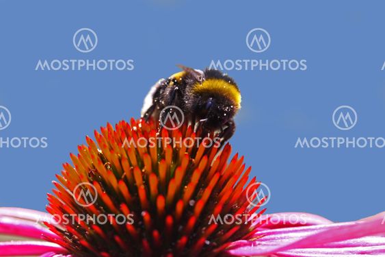 SummerMemory_20