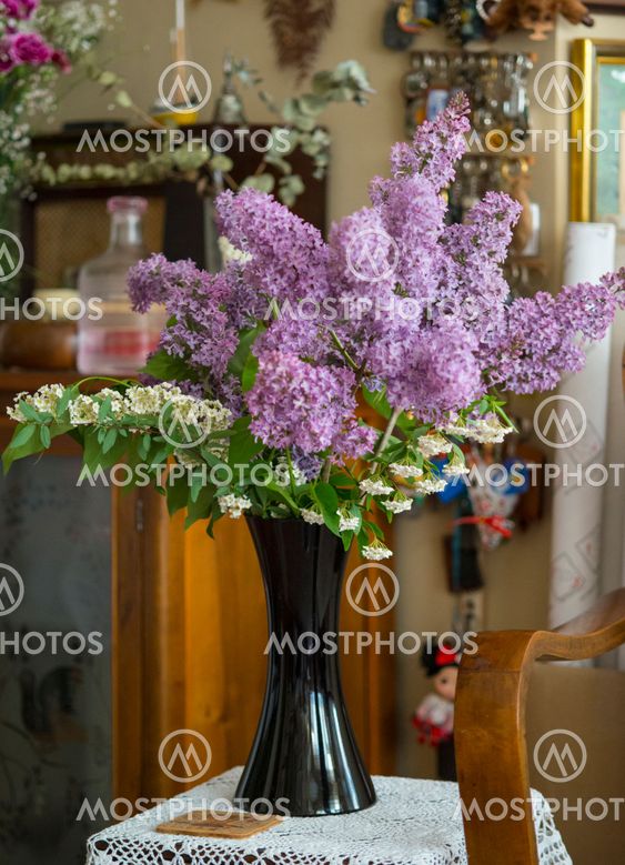 Flower in vase