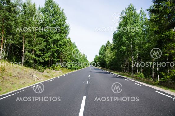 New asphalt and lines at a straight road in the forest