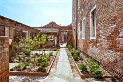 Daylight view to yard with planted flowers and little trees