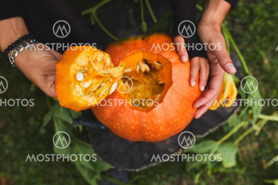 Daughter and father hands open, cut pumpkin for...