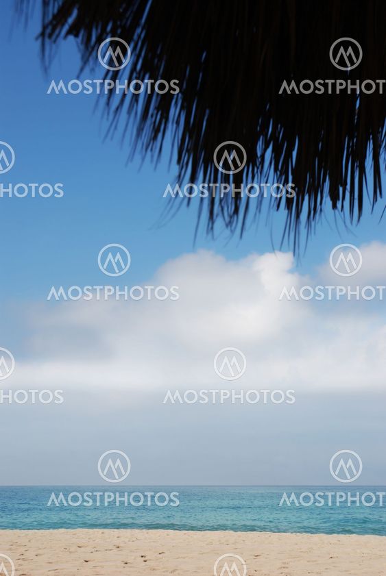 beach under umbrella
