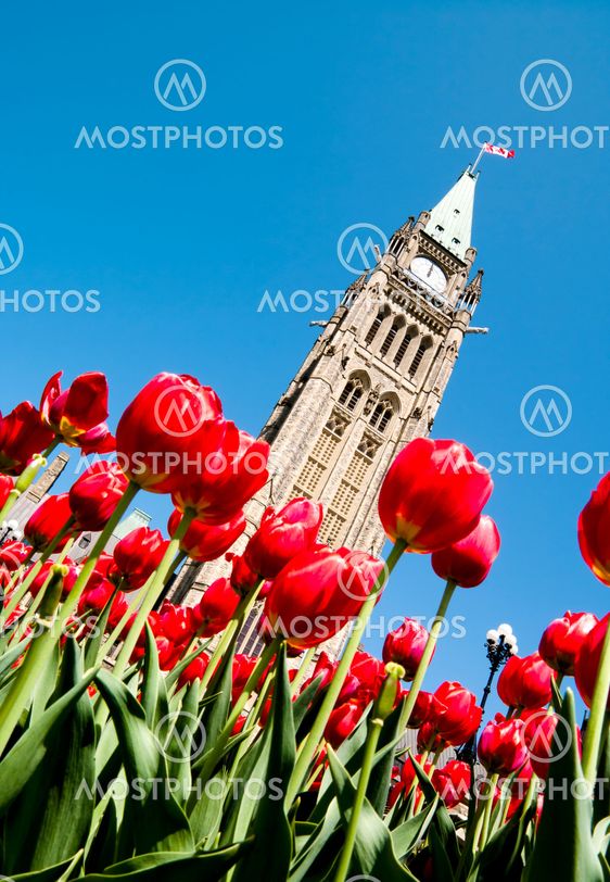 Spring Politics