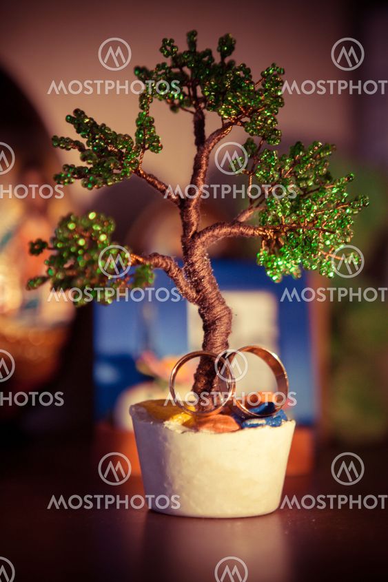 Beautiful wedding rings on handmade tree