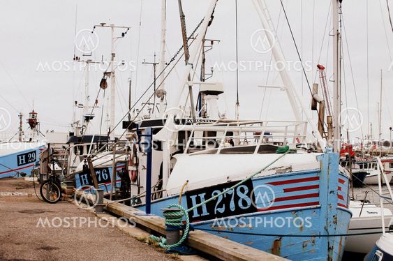 Fishing boats