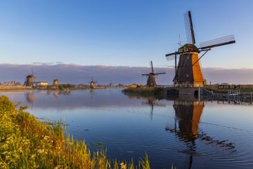 Traditional Dutch windmills in Kinderdijk - Unesco site,...