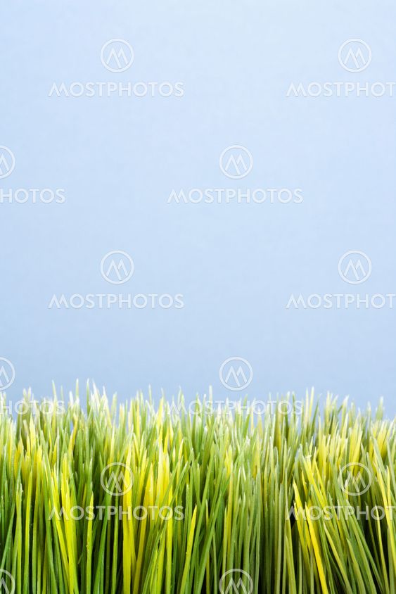 Green grass.
