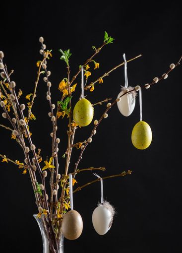 willow and forsythia branches with easter eggs