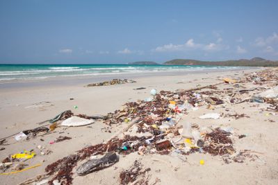 Rubbish washed up on the shore on the beach