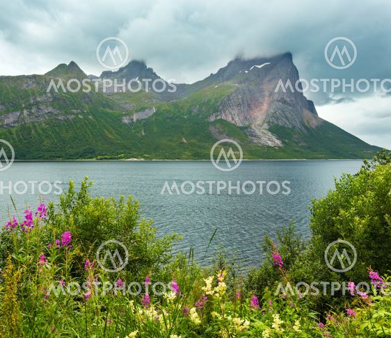 Fjord summer cloudy view, Norway