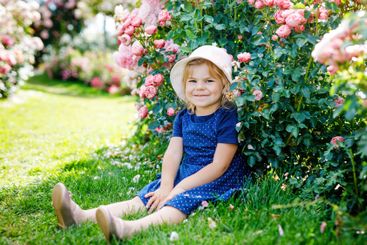 Portrait of little toddler girl in blossoming rose...