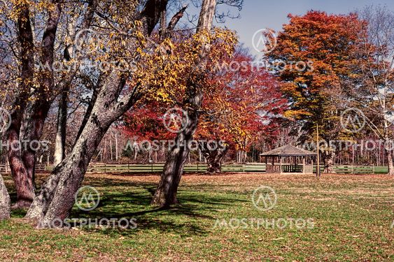 Allaire Park in Howell New Jersey if the fall