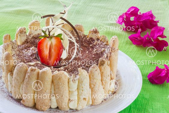 Tiramisu cake on green background