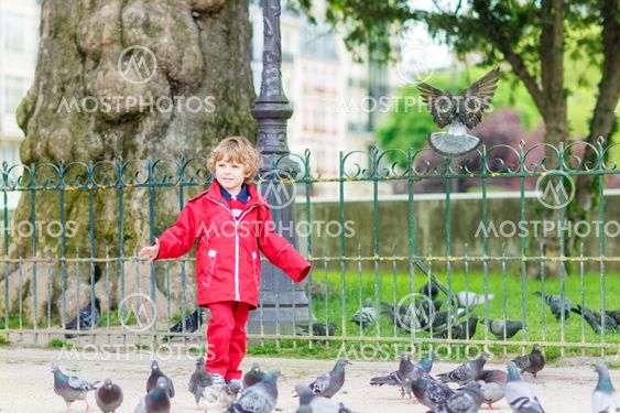 Cute little boy catching and playing with pigeons in city