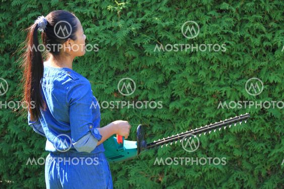 hedge-cutter