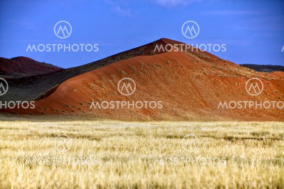 big orange dune at Sossusvlei Namib Naukluft Park Namibia Africa