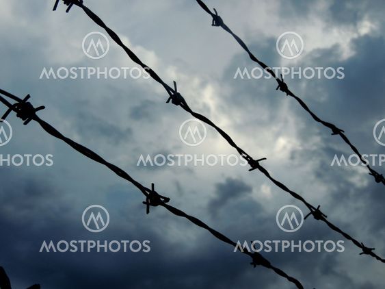 Barbed Wire Against a Stormy Sky