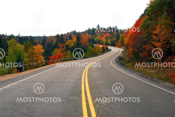 Fall highway