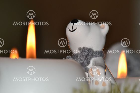 Polar bear by candlelight