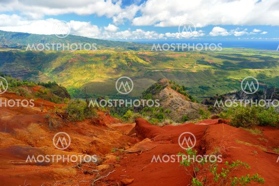 Stunning view into Waimea Canyon, Kauai