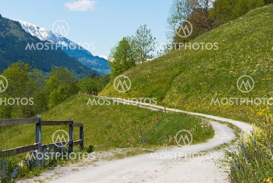 Road in landscape