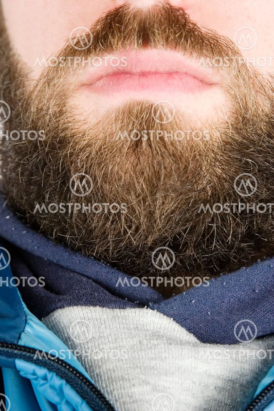 Beard Close Up