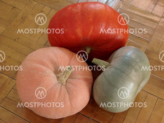three colorful pumpkins