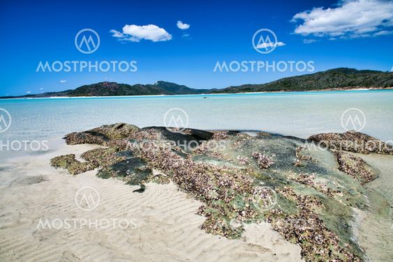 Crystal clear water of Whitsunday Islands, Australia