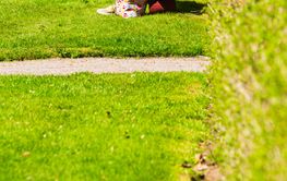 Person reading paper while relaxing on bench in a sunny...