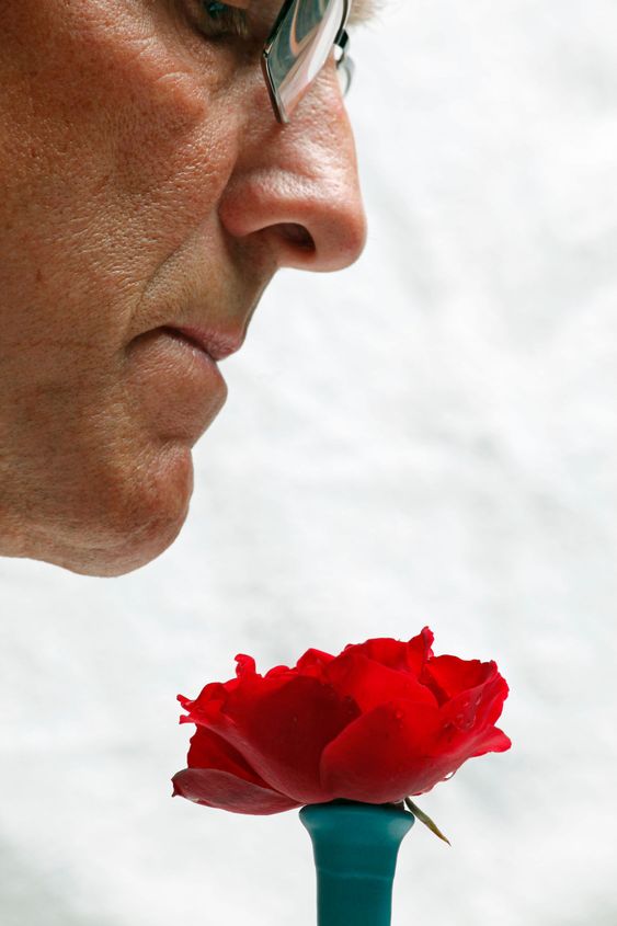 sniff