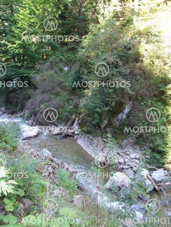 River flowing through the mountains at Costesti, Romania