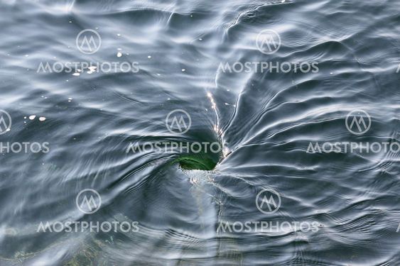 Whirlpool in ocean