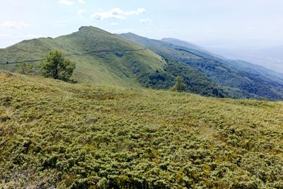 Summer landscape of Belasitsa Mountain, Bulgaria
