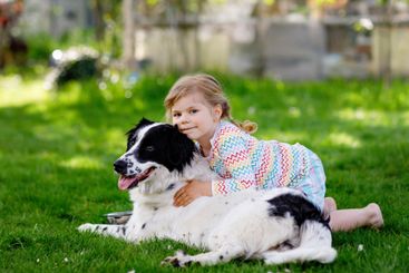 Cute little toddler girl playing with family dog in...