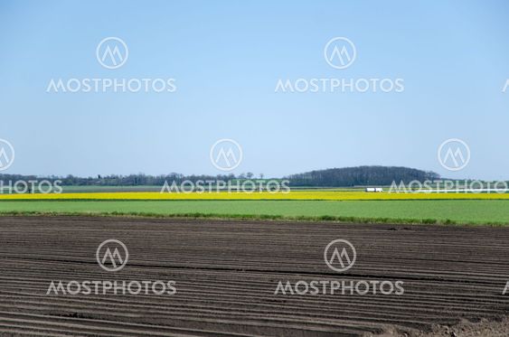 Rural landscape patterns