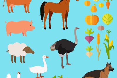 Domestic Animals Set near Fruit and Vegetable